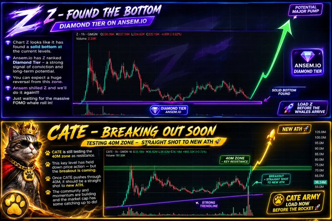 A crypto trading chart showing Z (GMGN) labeled "Found The Bottom — Diamond Tier on Ansem.io" with price around $338.59 and a note stating "LOAD Z BEFORE THE WHALES ARRIVE," paired below with a second chart featuring a crowned cat mascot promoting CATE as "Breaking Out Soon — Testing 40M Zone" with a "Cate Army — Load Now Before The Rocket" callout. The image visually reinforces the post's claim by displaying Z's chart structure as a potential bottom formation and highlighting it within Ansem.io's Diamond Tier as a setup for a reversal.