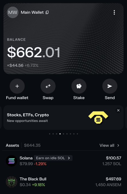 A crypto wallet app screen called 'Main Wallet' showing a balance of $662.01 (+6.73%), with options to Fund, Swap, Stake, or Send, and holdings including Solana ($100.57) and 'The Black Bull' token ($497.69).