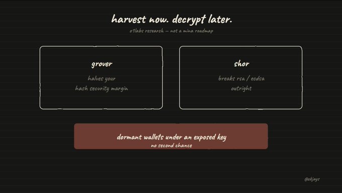 A dark-themed infographic titled "harvest now, decrypt later" with text "o1labs research - not a mina roadmap," illustrating cryptographic concepts including "grover" (halves hash security margin), "shor" (breaks rsa / ecdsa outright), and "dormant wallets under an exposed key - no second chance."