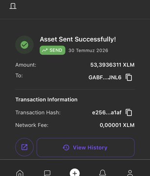 A mobile app screenshot showing a successful asset transfer of 53.3936311 XLM sent to address GABF...JNL6, with transaction hash e256...a1af and network fee of 0.00001 XLM.