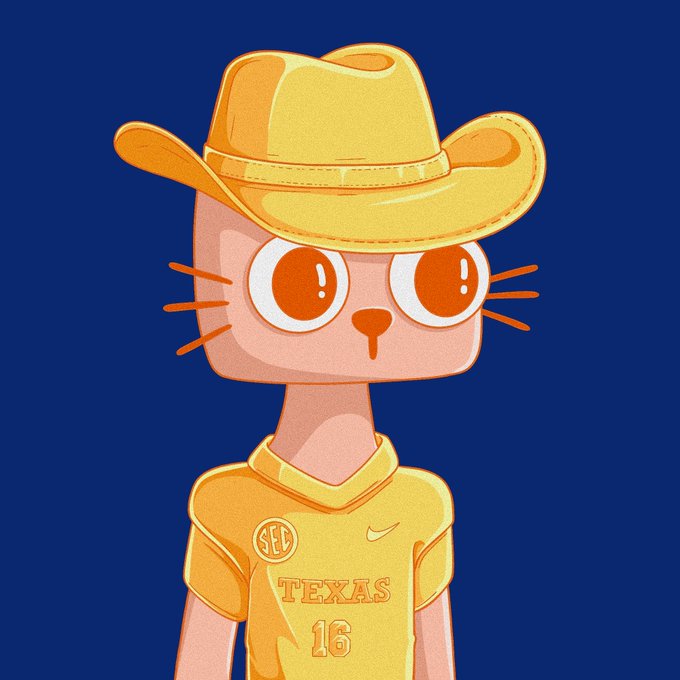 An illustration of a peach-colored cat wearing a yellow cowboy hat and a yellow 'TEXAS 16' jersey on a dark blue background.