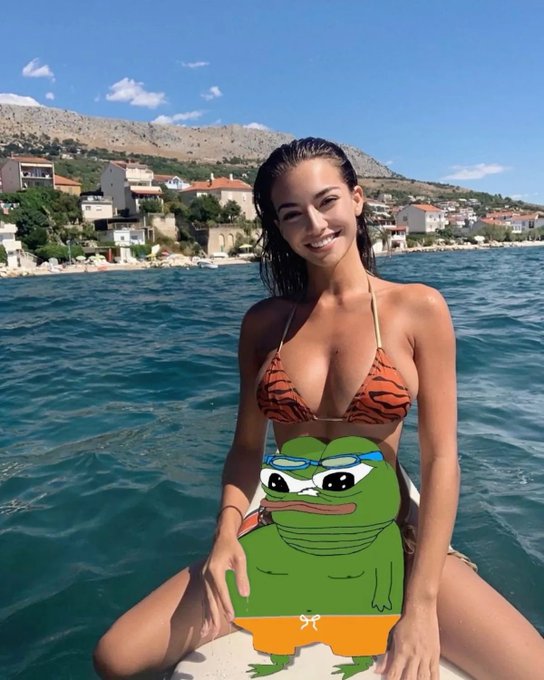 A woman in an orange tiger-print bikini sits on a paddleboard in the water, with a cartoon Pepe the Frog overlay in the foreground, set against a coastal town backdrop. The image appears to be a meme-style promotion tying the "Linn's Leverage #1053" newsletter post to crypto/DeFi platforms like @boros_fi, @pendle_fi, and @maplefinance.