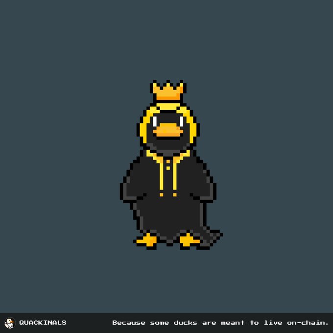 Pixel art illustration of a black duck wearing a yellow hoodie and a small crown, labeled 'QUACKINALS' and featuring the tagline 'Because some ducks are meant to live on-chain.'