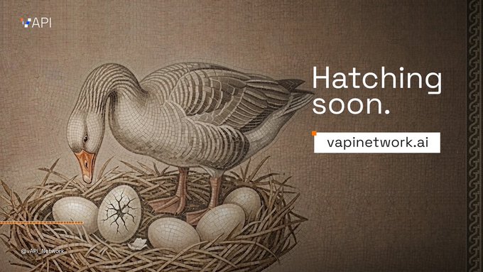 An illustration of a goose tending to eggs in a nest with text 'Hatching soon.' and 'vapinetwork.ai' along with an 'API' logo and '@API_Universe'.