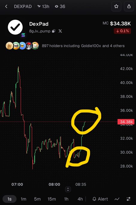 A DexPad cryptocurrency trading chart showing the token '8gJv_pump' with a market cap of $34.38K (down 0.1%), with two specific price spike patterns circled in yellow on the candlestick chart.