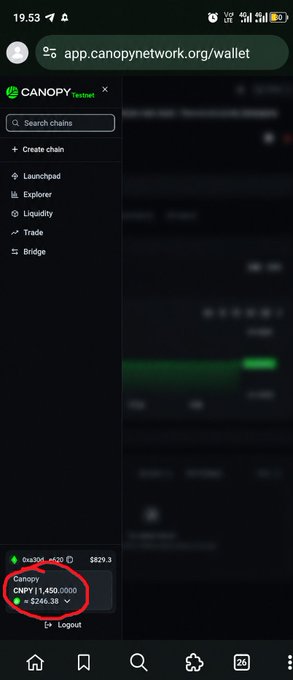 A screenshot of the Canopy testnet wallet at app.canopynetwork.org/wallet shows a balance of 1,450 CNPY (~$246.38), highlighting the rewarded token holdings referenced in the post.