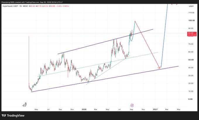 A TradingView chart for Hyperliquid / USDT (HYPEUSDT) on WEX exchange, displaying price action between 2025 and 2027 with technical analysis trendlines drawn in blue, green, and red.