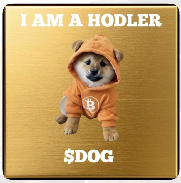 Square image of a Shiba Inu puppy wearing an orange hoodie with the Bitcoin 'B' logo, with text 'I AM A HODLER' at the top and '$DOG' at the bottom on a gold background.