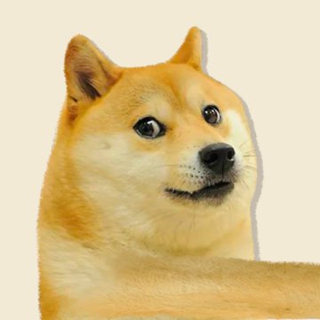 A close-up photo of a Shiba Inu dog (the 'Doge' meme) against a cream background, looking to the side with a characteristic smile.