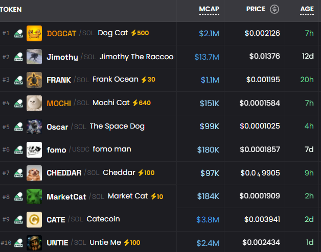 A screenshot of a token leaderboard showing top meme coins on Solana, including DOGCAT (#1, $2.1M MCAP), Jimothy ($13.7M), MOCHI (#4, $640 volume), and Catecoin ($3.8M), with the post emphasizing that retail is returning to meme coin "trenches" on Solana and that the next $100M runner will emerge from this space.