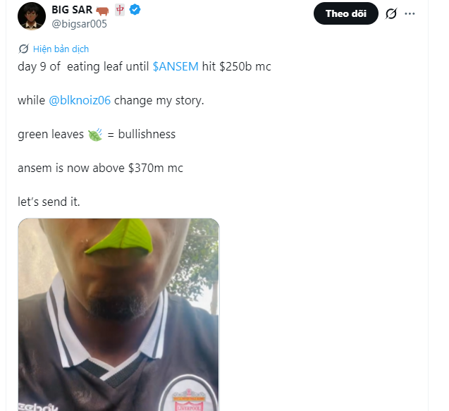 A Twitter post by BIG SAR (@bigsar005) on day 9 of a leaf-eating stunt shows a man with a green leaf balanced on his nose, captioned "day 9 of eating leaf until $ANSEM hit $250b mc," referencing ANSEM's market cap rising above $370 million.
