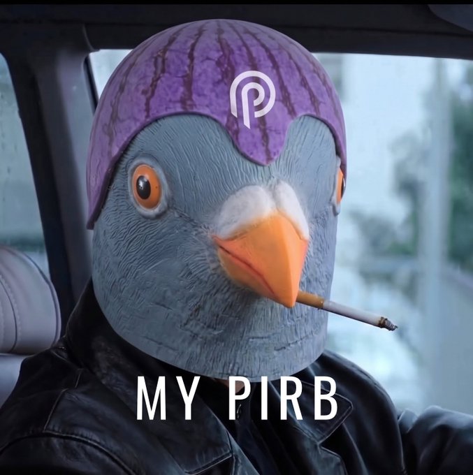 A humorous image showing someone in a car wearing a pigeon bird head mask with an 'ON' down logo on its forehead, smoking, captioned 'MY PIRB'.