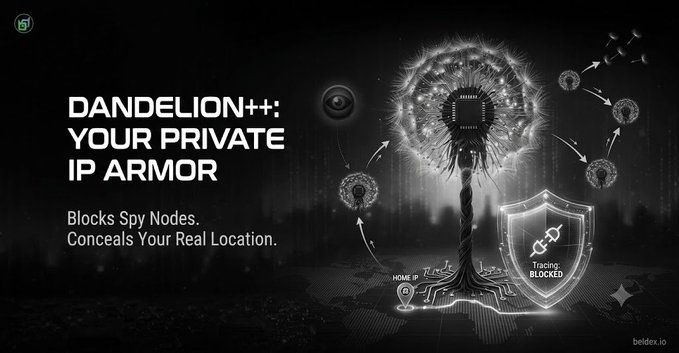Advertisement for "DANDELION++: YOUR PRIVATE IP ARMOR" that "Blocks Spy Nodes, Conceals Your Real Location," with a dandelion graphic showing "Tracing BLOCKED" and the URL beldex.io.