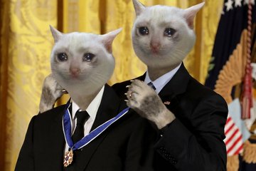 A meme image showing two figures in suits with white cat heads, where one appears to be placing a medal on the other against a formal yellow-curtain backdrop.