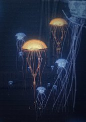 Several glowing jellyfish with long tentacles float gracefully in dark blue water.