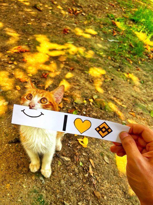 A curious orange and white cat sits on a dirt path as a hand holds up a sign near its face featuring a smile, a yellow heart, and the Binance logo. The post celebrates the cat's new BinanceUS crypto wallet, humorously tying the welcoming "smiley face" and "heart" icons on the sign to the reopening of Binance's services in America.