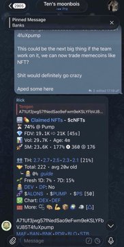 A screenshot of a Telegram post in 'Ten's moonbois' group by 4lixPump titled 'Penoid Message' discussing a possible 'meme coin' NFT, with replies listing claimed NFTs and details like floor prices.