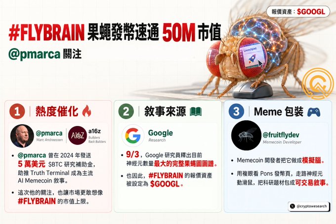 A promotional graphic for the #FLYBRAI memecoin featuring a fruit fly wearing VR goggles above a computer mouse, valued at $GOOGL, with three sections explaining its catalyst (@pmarca's $5M investment), story (Google's 9/3 fly brain map research), and meme packaging by @fruitflydev.