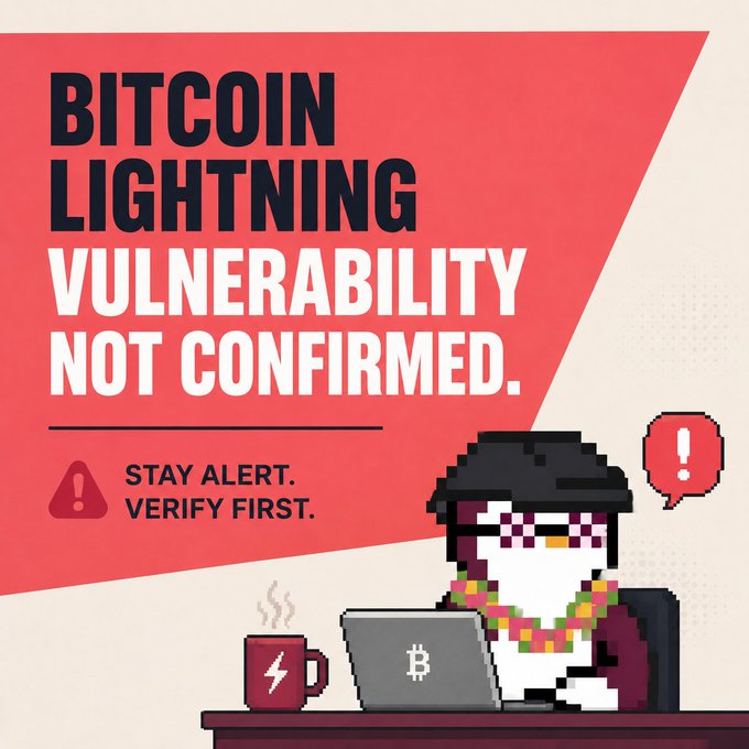 An infographic stating 'BITCOIN LIGHTNING VULNERABILITY NOT CONFIRMED. STAY ALERT. VERIFY FIRST.' featuring a pixel-art penguin character at a laptop.