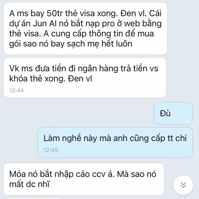 A screenshot of a Vietnamese-language chat conversation discussing visa applications, Jun AI project, and bank withdrawals.