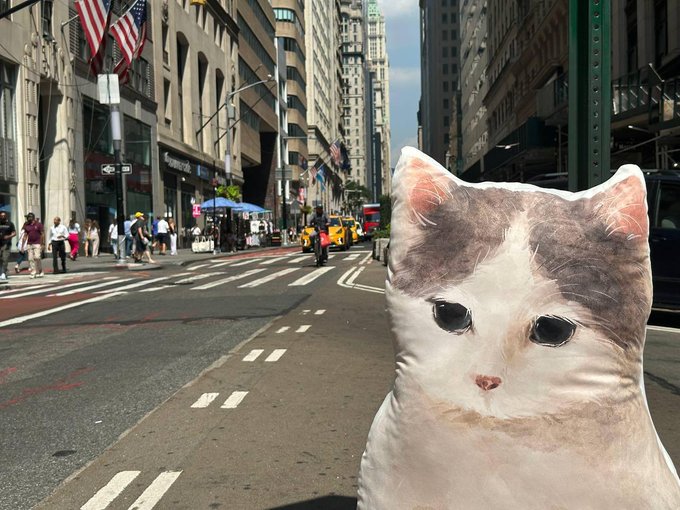 A whimsical photo of a cat-shaped pillow placed on a New York City street, with the Empire State Building visible in the background.