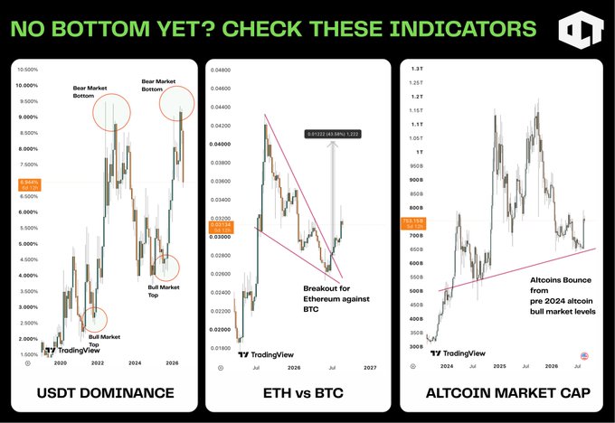 Financial analysis infographic titled 'NO BOTTOM YET? CHECK THESE INDICATORS' featuring three TradingView charts: USDT Dominancy showing bull and bear market tops/bottoms, ETH vs BTC showing a breakout pattern, and Altcoin Market Cap showing altcoins bouncing from pre-2024 altcoin bull market levels.