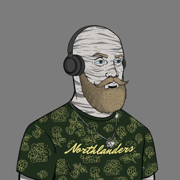 A cartoon-style avatar of a bearded man with a bandaged head wearing headphones and a green floral 'Northlanders' shirt.