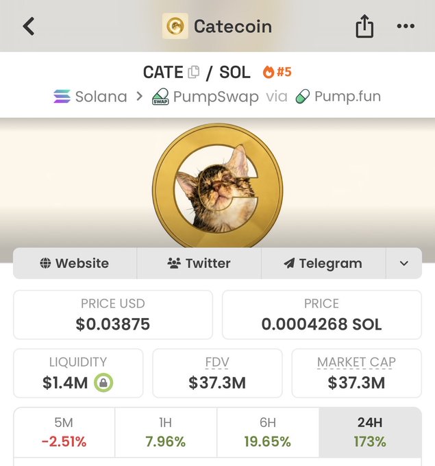 The screenshot shows the CATE/SOL memecoin Ccatecoin on Solana via PumpSwap/Pump.fun, with a market cap of $37.3M and a 24H gain of 173%. This illustrates the post's claim of CATE's market cap growing from $17M to $37M in roughly 20 hours.