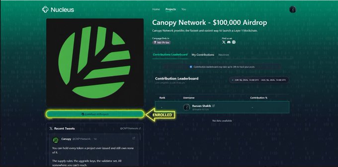 The image shows a computer screen displaying a webpage from @CNPYNetwork. The main focus of the image is a green circle with a stem within it, accompanied by an arrow pointing towards the label "Labeled". This visual element helps guide the viewer's attention to that specific part of the page. The rest of the image showcases more details about the network and its purpose for making Layer 1 deployment simpler and accessible. There are also text elements on the screen, which likely provide additional context or explanations related to the content shown in the image.