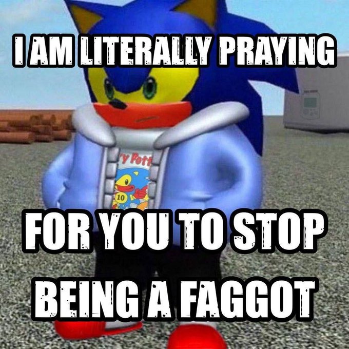 A meme featuring a 3D-rendered blue Sonic the Hedgehog character wearing a hoodie, with overlaid text reading 'I AM LITERALLY PRAYING FOR YOU TO STOP BEING A FAGGOOT'.