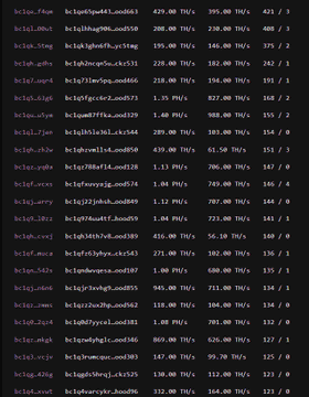 A dark screen displays rows of white text showing cryptocurrency or token data, including addresses, quantities, and monetary values in TH/s.