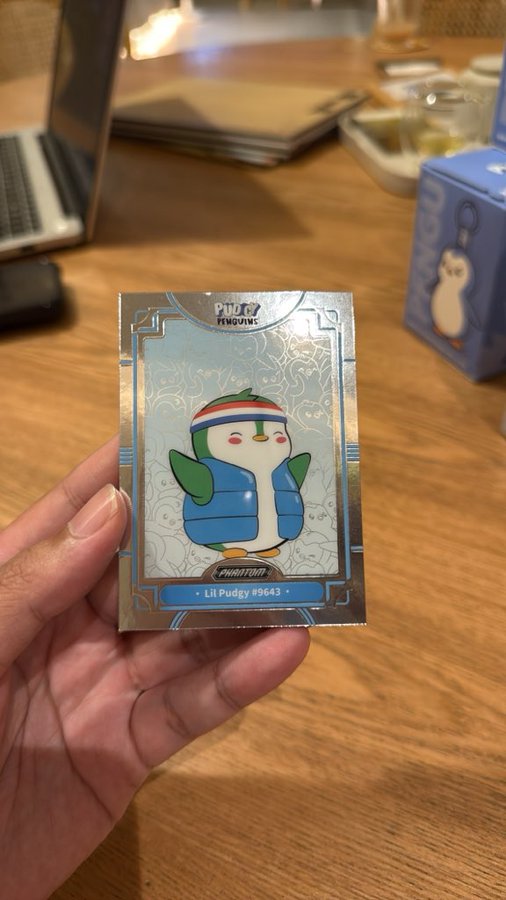 A hand holds a holographic Pokémon trading card featuring 'Lil Pudgy #9643', a penguin-like character wearing a blue puffer vest and red, white, and blue striped hat.