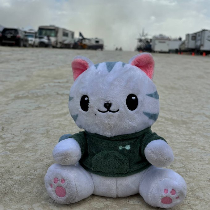 A cute plush cat toy with pink ears and paw pads sits on cracked desert ground, wearing a green hoodie, against a row of recreational vehicles. The desolate, RV-filled wasteland setting cleverly evokes the "hyperliquid" theme—suggesting an emptying out or desolate landscape akin to a liquidity crisis.