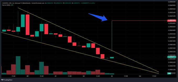 A TradingView 4-hour chart for CASHDOG/USD shows a candlestick pattern within a descending channel, with a blue arrow highlighting a dramatic vertical price spike to roughly $0.00000670 on July 23rd, illustrating the explosive "pump" referenced in the bullish crypto commentary.