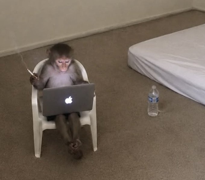A small monkey sits in a white plastic chair holding a lit cigarette in one hand while working on a silver Apple laptop, with a water bottle and mattress nearby on a carpeted floor. The humorous caption "Searching for dips be like" plays on the monkey's stressed, hunched posture and smoking habit as a relatable metaphor for the exhausting, anxiety-filled experience of hunting for market dips to buy.