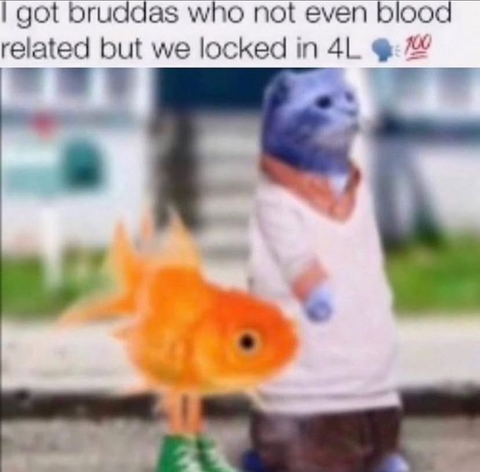 Meme image with text 'I got bruddas who not even blood related but we locked in 4L' showing a blue cat-like character in a sweater standing next to a goldfish, with a 100 emoji.