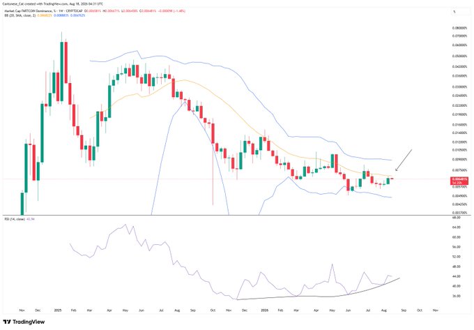 A TradingView candlestick chart for Cardano (CRYPTO:CARDANO) on a weekly timeframe, showing price action with moving averages and an RSI indicator at the bottom, dated Aug 28, 2025.