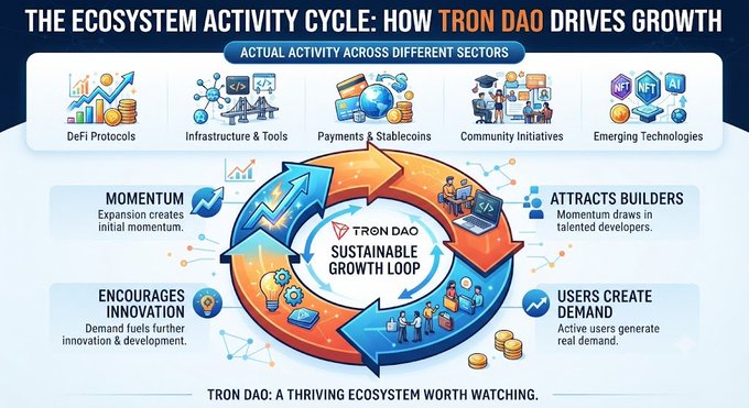 The image is an infographic titled "The Ecosystem Activity Cycle: How TRON DAO Drives Growth," illustrating a sustainable growth loop centered on TRON DAO with four interconnected stages—Momentum, Attracts Builders, Users Create Demand, and Encourages Innovation—driving activity across five sectors: DeFi Protocols, Infrastructure & Tools, Payments & Stablecoins, Community Initiatives, and Emerging Technologies.

This visual reinforces the post's emphasis on tracking genuine, multi-sector ecosystem activity as a measure of health, showing how TRON DAO's momentum in DeFi, stablecoins, and emerging tech creates a self-reinforcing cycle of builder attraction, user demand, and continued innovation.