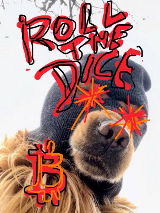 A meme image features a dog wearing a black balaclava with the text 'ROLL THE DICE' in red graffiti style and '13' below.