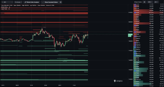 A Whale Order Analysis chart on CoinGlass shows Bitcoin's price action around $79,000-$80,000 alongside a stacked order book displaying numerous red (sell) orders concentrated between $80,000 and $82,000, with visible sell entries like $81,260 and $80,398. The chart visually confirms the claim by showing heavy sell walls in that price range, indicating bearish whale positioning overhead.