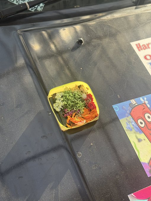 The user wants a concise caption describing the image.
I need to identify the main subject: a yellow container with food (looks like a salad or vegetable mix) sitting on a black surface (likely a car hood or trunk).
I need to note any visible text. There is a sign partially visible in the top right ("Har...") and a picture of Patrick Star from SpongeBob SquarePants in the bottom right.
The prompt asks to include key text, numbers, tickers, or names.
The post context mentions "$TripleT", "$LMAO!", "$BITCOIN", etc., and "humble indonesian fella has a whimsical idea to spice up what we know as advertising". This suggests the food is part of an advertising stunt.
The image itself shows the food on a car.
So, the caption should describe the food on the car and mention the visible text elements.

Drafting the caption:
"A small yellow container filled with a colorful