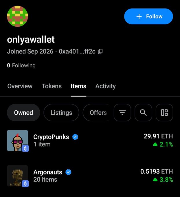 A screenshot of an OpenSea profile for 'onlyawallet' showing ownership of 1 CryptoPunks NFT valued at 29.91 ETH and 20 items from the Argonauts collection valued at 0.5193 ETH.