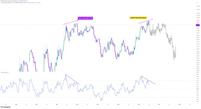 A TradingView chart of $USDT.D displays a "NEW 2022 BOTTOM" annotation and a "DAILY FOLLOW 2022" label, both pointing to bearish divergence patterns in the RSI indicator below the price action, suggesting an imminent market bottom for $BTC.