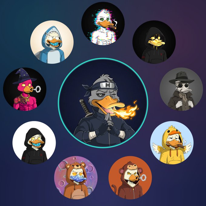 A collection of cartoon duck avatars arranged in a circle around a central duck dressed as a ninja with a sword and fire breath, with various other ducks wearing shark costumes, wizard hats, hoodies, and monkey suits.