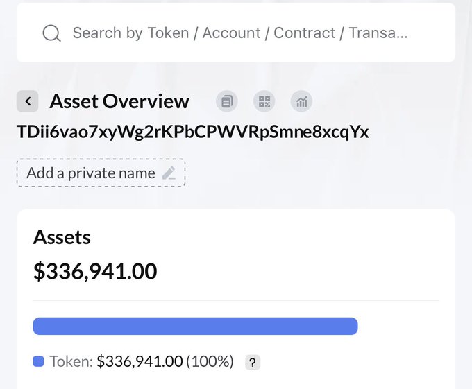 The image shows a Trust Wallet Asset Overview page for the address TDii6vao7xyWg2rKPbCPWVRpSmne8xcqYx, displaying a total asset balance of $336,941.00 held entirely in tokens. This matches the user's post claiming that their funds were transferred to this specific wallet address, which they allege was automatically substituted for their original wallet.