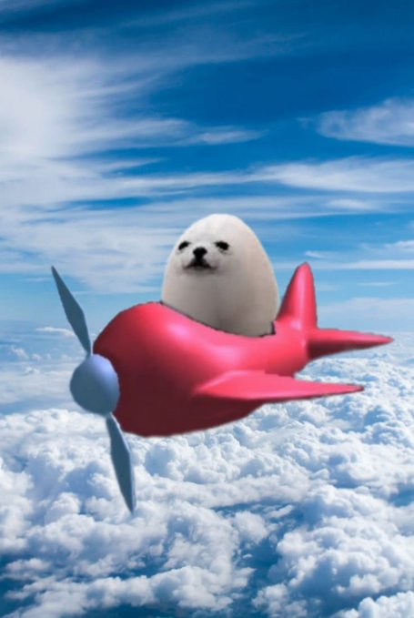A surreal image of a white seal pup sitting inside a red cartoon airplane flying above fluffy white clouds in a bright blue sky.