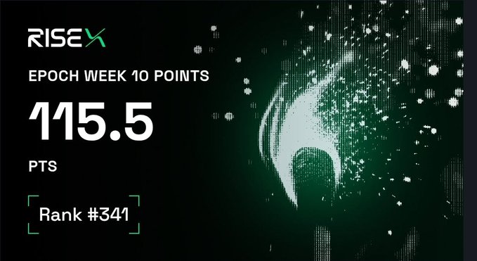 RISE logo graphic displaying 'EPOCH WEEK 10 POINTS', a score of '115.5 PTS', and 'Rank #341' on a dark green pixelated background.