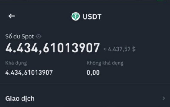 A cryptocurrency wallet screen showing a USDT balance of 4.434,61013907 (≈ $4,437.57) with available balance displayed in Vietnamese.
