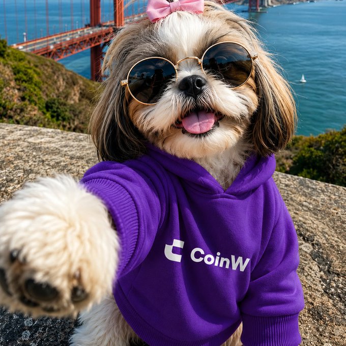 A fluffy Shih Tzu wearing oversized sunglasses, a pink bow, and a purple "CoinW" hoodie takes a selfie with the Golden Gate Bridge in the background. The caption "Rate this selfie from 1–10." invites viewers to critique this fashionable pup's stylish pose against an iconic San Francisco backdrop.