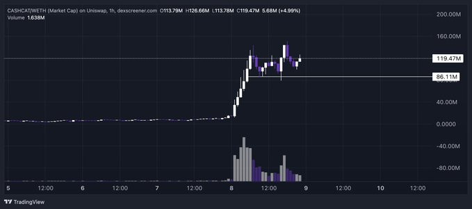 A TradingView chart of CASHCATWETH on Uniswap V3 shows a dramatic vertical spike with the price surging to a market cap of $119.47M (+4.99%) on heavy 1.63M volume, visually reinforcing the post's claim that $CASHCAT is being bid up as a leading meme trade. The explosive price action and rising volume bars directly support the thesis that flows are chasing top performers on the RH chain.